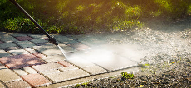 Best Solar Panel Cleaning  in Avodo Heights, CA